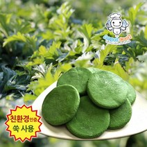 브랜드없음 [엔젤쿡] 거문도 해풍쑥 생쑥개떡 1kg