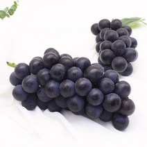 [오늘의과일] 고당도 거봉 2kg (4송이), 1개, 거봉 4송이 (2kg)