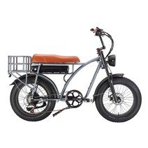전기자전거 면세 SMLRO 레트로 카고 전기 자전거 48V 1000W 듀얼 모터 Ebike 18AH MTB 20 인치 지방 타이어, 02 Silver Frame, 01 7
