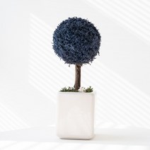 스칸디아모스 러블리 모스트리, 10_클래식블루