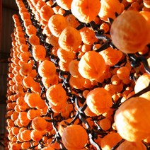 명품영동 곶감 선물용 반건시 선물혼합세트 명절선물, 1세트