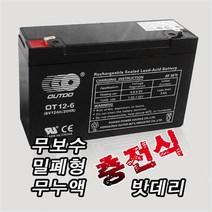 축전지 아기차배터리 전동차 전동바이크 전동릴 충전식 빠때리 예비전원