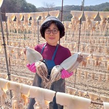 오징어엄마 반건조오징어 피데기 반건오징어, (대)10미(1.5kg), 1개