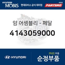 암-페달 (4143059000) 쏠라티 쏠라티 특장