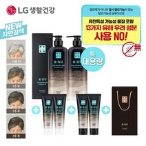 자연갈색/흑갈색LG 리엔 물들임 대용량 샴푸 550ml2개+중용량, 자연갈색