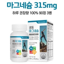 마그네슘 영양제 비타민b 1일 영양성분 기준치 100% 충족 마그네숨 알약케이스 증정, 90정, 3개