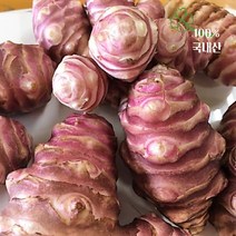 청원농산 생돼지감자 자색돼지감자(뚱딴지) 5kg 10kg, 돼지감자 10kg x1box
