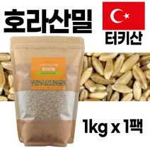 에코홀릭 터키산 호라산밀 1kgX1팩 고대 곡물 쌀 / 사은품 마스크팩 증정, 1kg X 1팩