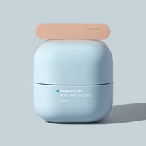 라네즈 워터뱅크 블루 히알루로닉 크림 50ml 진정쿨링 쿨보습, 01. 지복합용