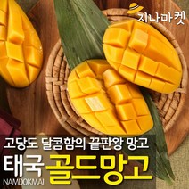 지나마켓 항공직송 달콤함의 끝판왕 태국 프리미엄 골드 망고 5kg 12과 내외 대사이즈