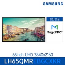 삼성 매직인포 서비스 결합 상품 스마트 사이니지 모니터 65인치 LH65QMR, 천장형