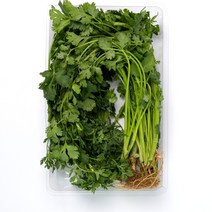 산지직송 국내산 고수 나물 코리엔더 코리앤더, 300g