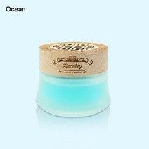 차량용 차 방향제 피톤케어 2 조각 자동 공기 청정기 향수 향수 자동 인테리어 126, 대양