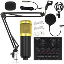 BM800 콘덴서 마이크로폰+V8 사운드카드 캐스터 컴퓨터 녹음 거치대 대진막 세트 마이크로폰 세트, BM800 (골드) 세트 V8