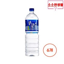소소한생활 일화 광천수 2L 6개