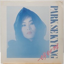 박세경 (불꽃놀이/앤) LP