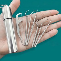 치아 세정기 직수 잇몸 마사지기 구강 수압 칫솔 이쑤시개 세트 금속 스테인레스, a-8 개