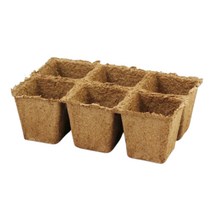 마이플랜트 흰강낭콩 씨앗 30g, 추가구매-지피포트 사각 1개