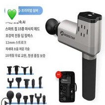 피닉스건 하이퍼볼트 부스터건 마사지건 근막이완 테라건, 플래그쉽 프리미엄-실버(15개 헤드)