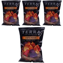 테라칩스 리얼 베지터블 칩 엑조틱 포테이토 씨 솔트, 155g, 4개