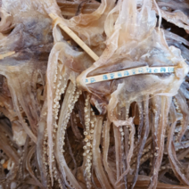 건오징어 다리 300g(원양산), 300g, 1개