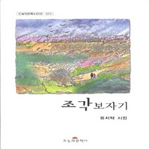 NSB9788956693972 새책-스테이책터 [조각 보자기] ---오늘의문학사-류지탁 지음-한국시-20100930 출간-판형 152x223(A5신)-1, 조각 보자기