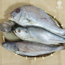 [자연한끼] 삼천포 반건조 제수 생선 모듬, 1세트, 부세구성(돔1/참가자미1/민어1/부세조기3)