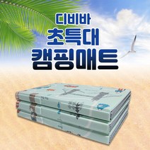 디비바 캠핑매트 초특대형 270x210 피크닉 발포매트, 03.초특대형_유럽민트 (270x210)