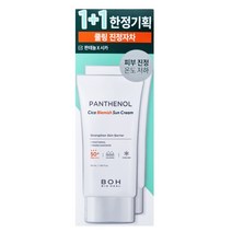 바이오힐보 판테놀 시카 블레미쉬 선크림 50ml 1+1