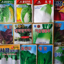 배추 무 알타리 갓 무씨 배추씨 알타리씨 청갓 적갓 돌산갓 가을무씨 김장배추씨, CR농가왕배추