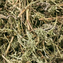 국산 인진쑥절(사철쑥) 1200g/ 말린 건조 건 차 한방 약초 약재, 12WM_국산인진쑥절600gX2, 1200g