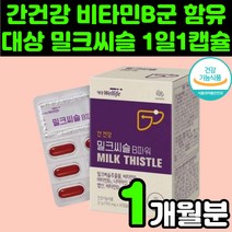 육체 피로 회복에 좋은 밀크 씨슬 간 건강 관리 활력 영양제 추천 비타민B군 허깨 헛개 나무 열매 코큐텐 민들레 추출물 보호제 엉겅키 MILKTHISTLE 수치 개선 남성 여자, 1박스(1개월분)