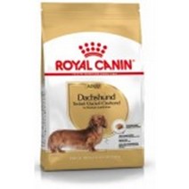 닥스훈트 슬개골 건강 전용 영양 사료 1.5kg 관절에좋은 관절강화 노견 조인트 고관절 쓸개골 관절사료