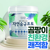 결로방지페인트 자연숨 규조토페인트 18kg 곰팡이방지 벽지 항균 베란다 실내 단열페인트, 31.푸른보라A(하단 색상표참조), 1개