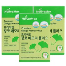 징코 은행잎추출물 뇌 기억력 혈행개선 영양제, 60정, 3개, 60정