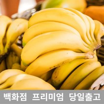 [특등급선별] 바나나 13kg 바나나 변비주스 바나나도매 바나나가격 수입바나나 바나나다이어트 바나나과일
