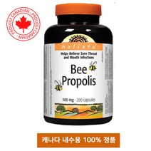 (캐나다직송) 홀리스타 비 프로폴리스 HOLISTA BEE PROPOLIS 200정