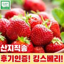 산지직송 킹스베리 비타베리 설향딸기 금실딸기, 킹스베리 - 일반난좌 24수/30구(랜덤), 1개