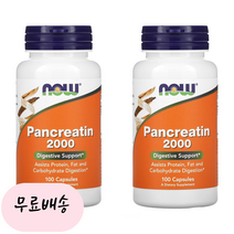 [나우푸드]-M2-판크레아틴 Pancreatin 2000 200mg 100개입[[2통]], 2개