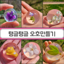 재밌는 유아 과학놀이 꽃 오호 만들기 집콕 자연 키트 물방울떡 선물 알긴산나트륨, 탱글탱글 오호만들기