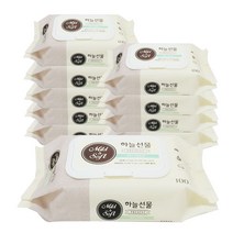 (에스피유통) 하늘선물 캡형 다용도 물티슈 100매 X10팩, 10팩