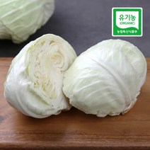 친환경 무농약 양배추 3kg, 1개