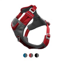 Kurgo 조니 에어 견용 하네스 블랙그레이 M 대형소형견 산책용 반사 소재 (K01944), Red, Small