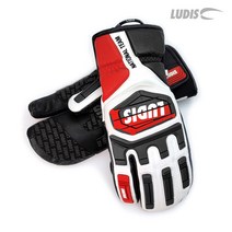 루디스 21/22 National Team 알파인 스키 스노보드 레이싱용 가죽 삼지 장갑 LGM4022 (정가대비 20%OFF+15%쿠폰), BK