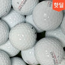 중고골프공 세인트나인 화이트 칼라 로스트볼 A+등급 혼합, 10알
