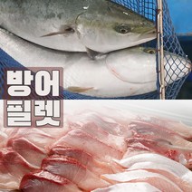(생물) 국내산 제철 자연산방어 필렛 400g 1kg 삼둥이초장 증정 할인행사중, 자연산방어 필렛 400g 1팩+삼둥이초장 증정