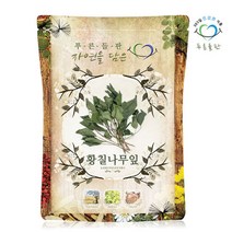 푸른들판 국내산 건조 황칠나무 잎 100g 황칠잎 차, 단품