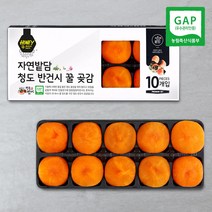 자연밭담 청도 반건시 10구 특상품 GAP인증 고당도 명품 실속 가정용 선물용, 3개