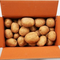 2022년 햇감자 두백감자 왕왕/ 왕/ 특/ 상사이즈 20kg 10kg 5kg 3kg, 1박스, 10kg 왕