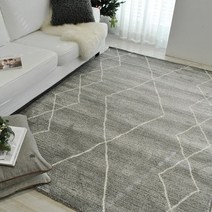 샤인러그 브린니 벨기에 수입 카페트 160x230 .샤이닝홈